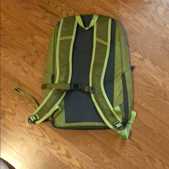 Marmot - Picture 2 of 2